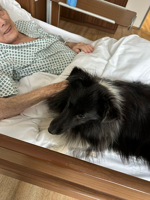 Canisterapie - terapie s pejsky