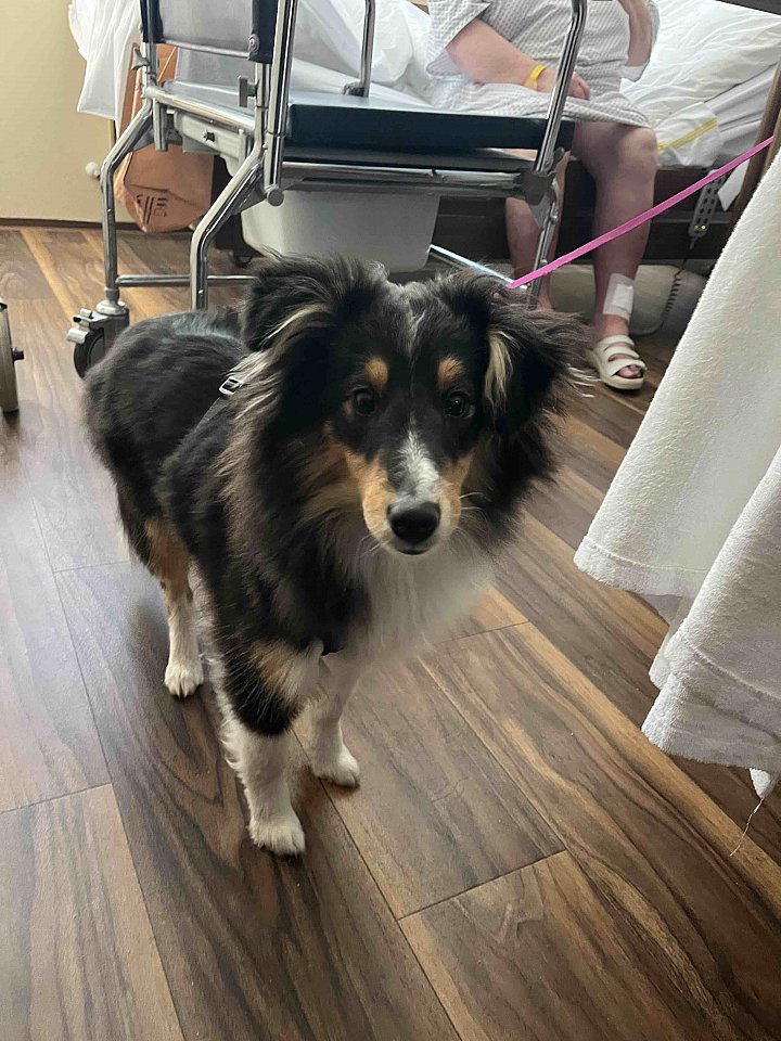 Dvě šelmy na oddělení :)