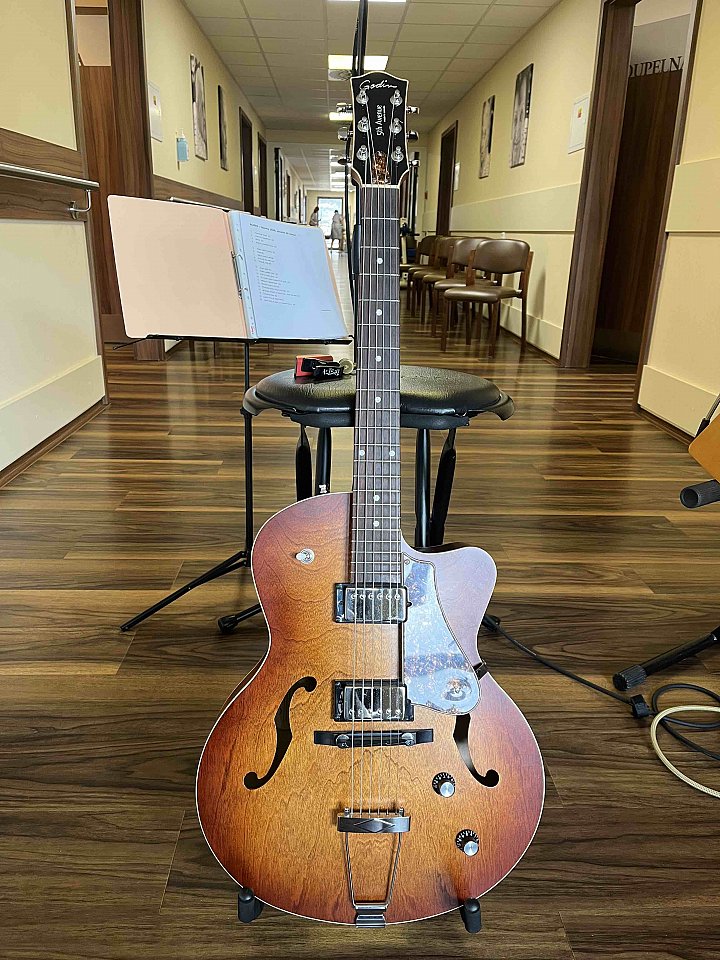 Kytarový koncert s Alishi