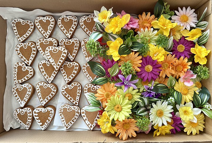 MDŽ na Lazaretní 8.3.2026